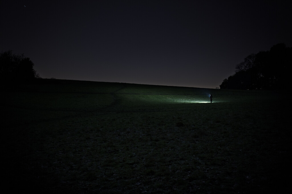 Untitled (Dog Walking, Parliament Hill)