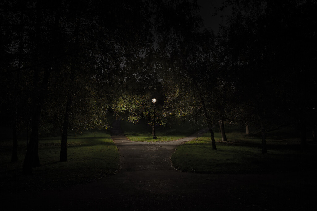 Untitled (Hyde Park II, Westminster)